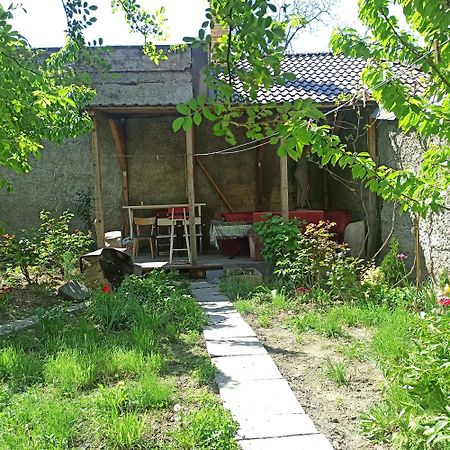 Дом У Моря С Бассейном И Сауной Odessa Exteriör bild